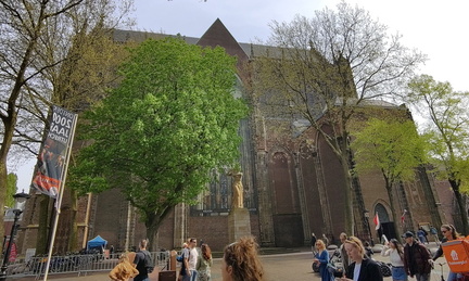 Dom