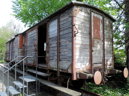 Deportation truck