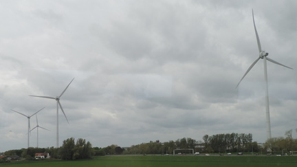 Wind farm