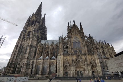 Dom
