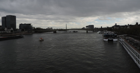 Rhine