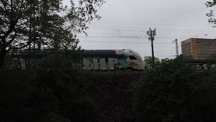 Train
