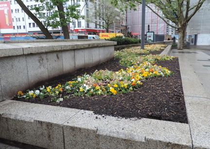 Flower bed