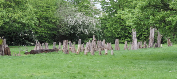 Wooden scupltures