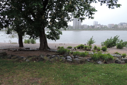 River bank