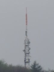 Mast