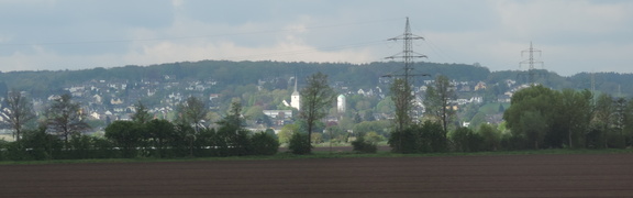 Town through the trees