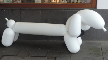 Balloon dog