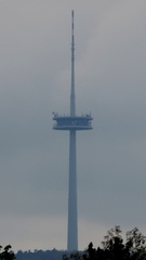 Tower
