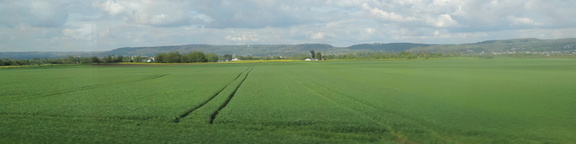Fields