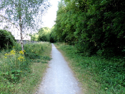 Path along old track
