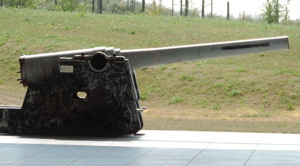 Gun