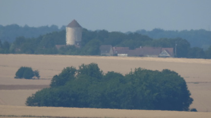 Farm