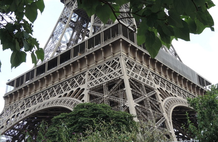 Through the Trees