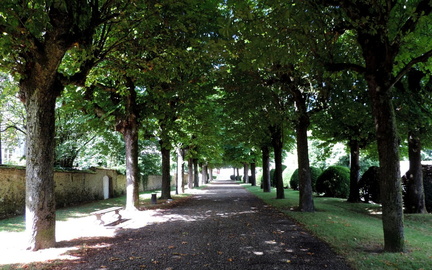 Avenue