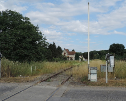 Overgrown Tracks