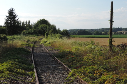 Overgrown railway