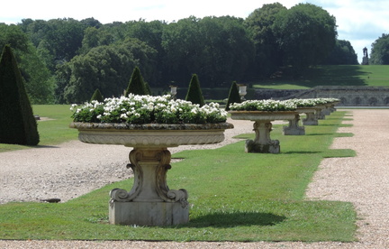 Row of pots