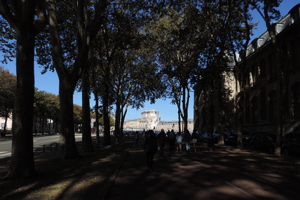 Avenue