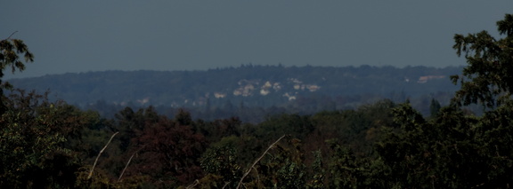 Distant settlement