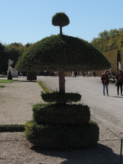 Topiary