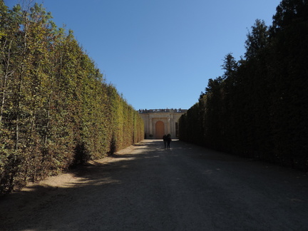 Avenue