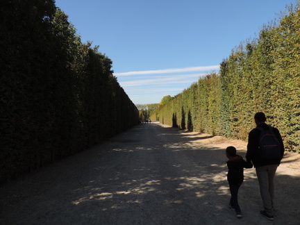 Avenue