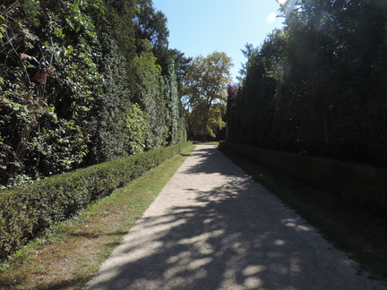 Avenue
