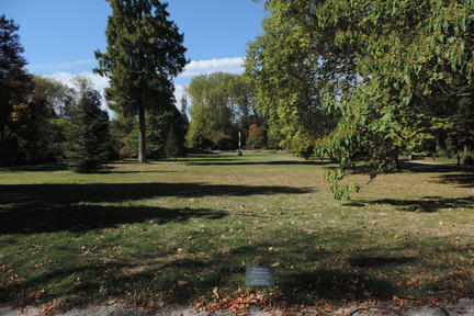 King's Garden