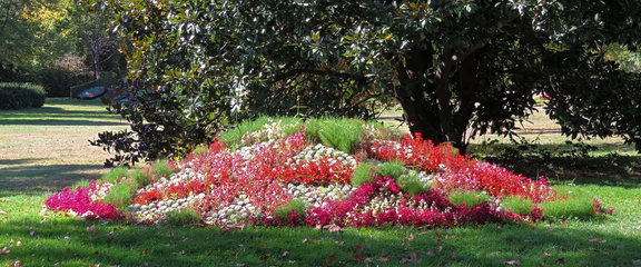 Flower bed