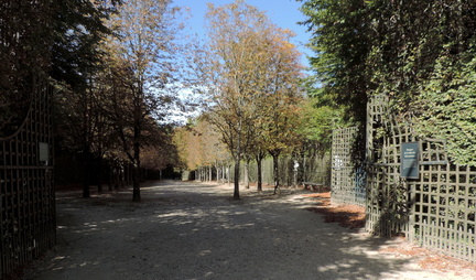 Avenue