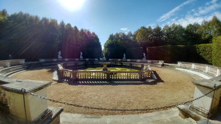 Grove