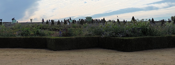 Hedges