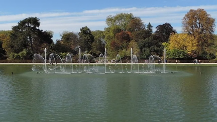 Fountains