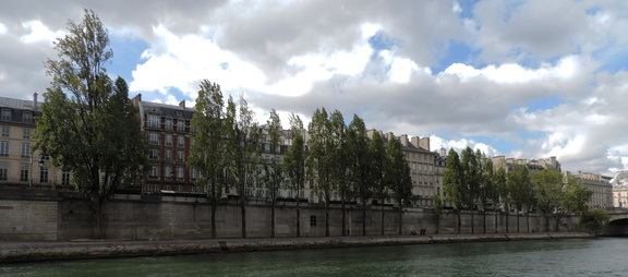 Along the bank