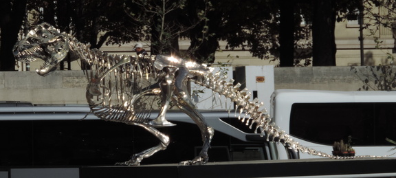 Dinosaur skeleton