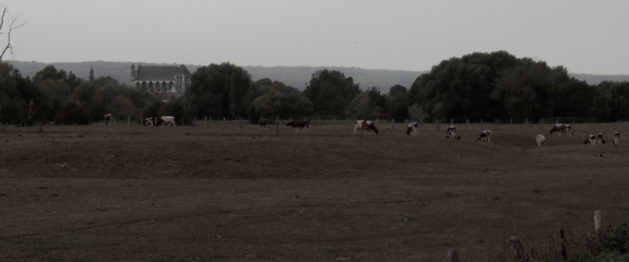 Across the fields