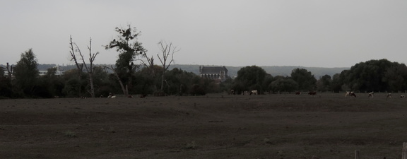 Across the fields