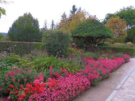 Flower beds