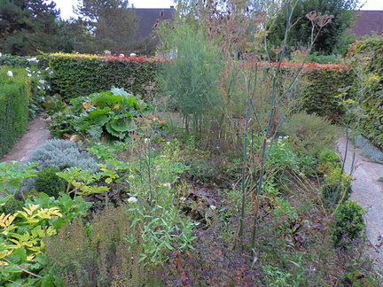 Wild garden
