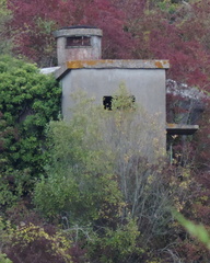 Bunker
