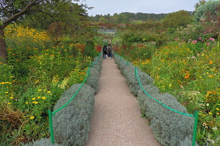 Avenue