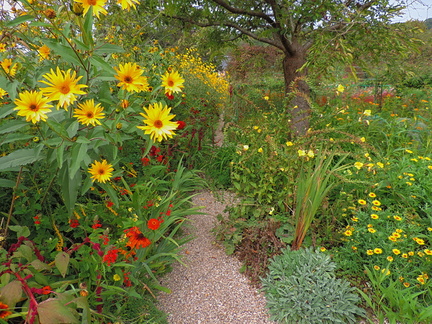 Overgrown avenue