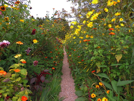 Path