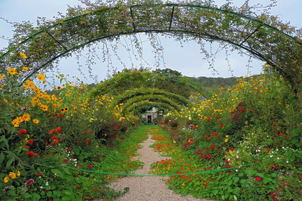 Avenue