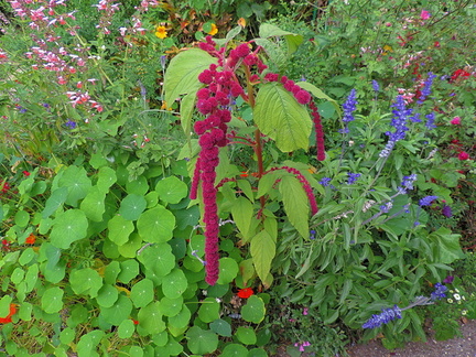 Flower bed
