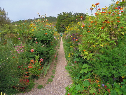 Path