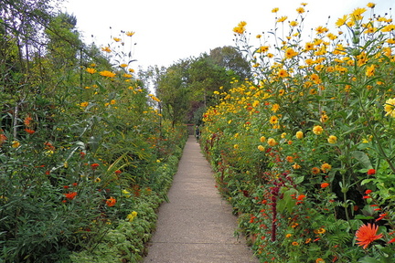 Avenue