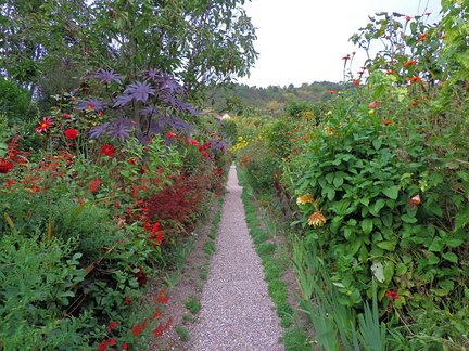 Path