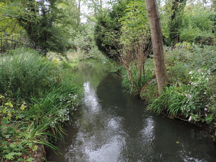 Stream